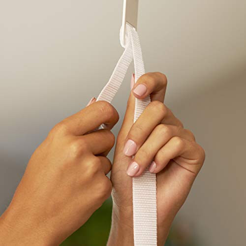 Evenflo Exersaucer Tiny Tropics 2-in-1 Baby Seat and Door Jumper