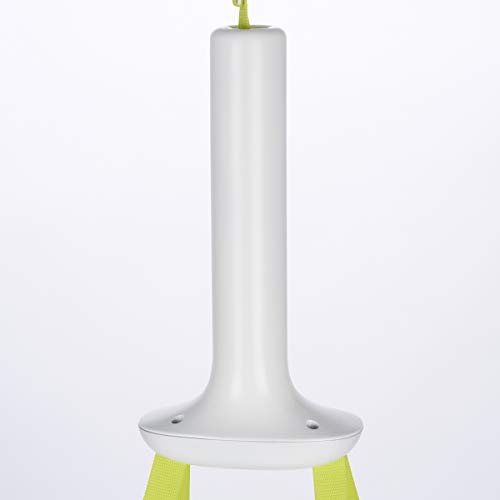 Evenflo Exersaucer Tiny Tropics 2-in-1 Baby Seat and Door Jumper