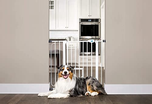 Carlson Extra Wide Walk Through Pet Gate with Small Pet Door, Includes 4-Inch Extension Kit, Pressure Mount Kit and Wall Mount Kit