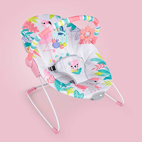 Bright Starts Flamingo Vibes Baby Bouncer