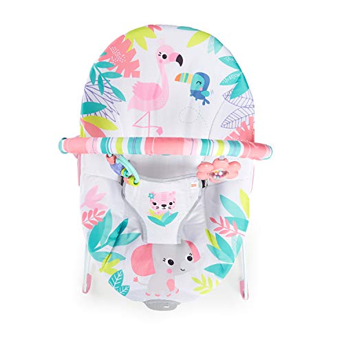 Bright Starts Flamingo Vibes Baby Bouncer