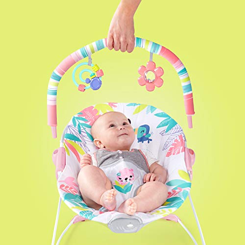 Bright Starts Flamingo Vibes Baby Bouncer