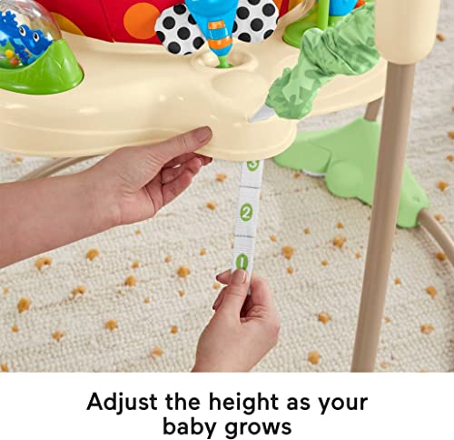 Fisher-Price Rainforest Jumperoo
