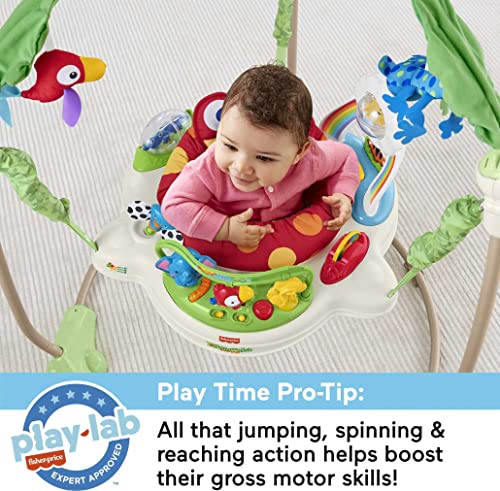 Fisher-Price Rainforest Jumperoo