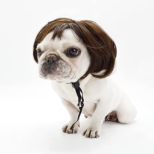 Funny Pet Cosplay Wig for Dogs and Cats