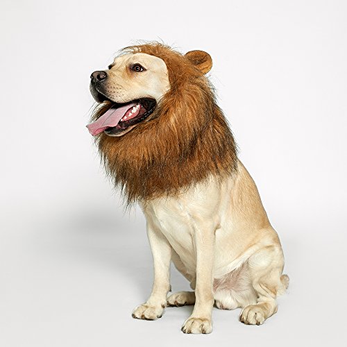 Funny Lion Mane Wig for Dogs - Medium to Large