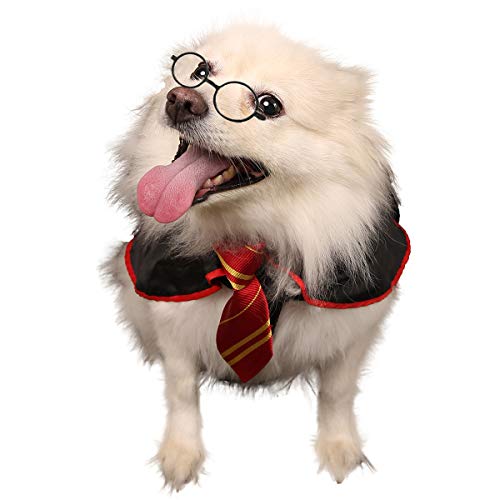 Wizard Dog and Cat Costume Hoodie with Glasses