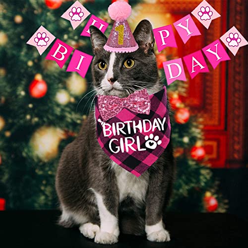 Cat Birthday Party Hat and Bandana Set