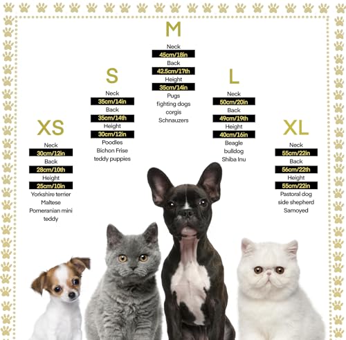 Royal Pet Costume for Halloween – King & Queen