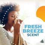 ARM & HAMMER Fresh Breeze Laundry Detergent Sheets 60 ct