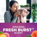 Arm & Hammer Odor Blaster Fresh Burst Sheets