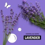 Molly's Suds Lavender Laundry Detergent for Sensitive Skin
