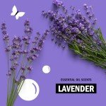 Molly's Suds Lavender Dryer Sheets for Sensitive Skin