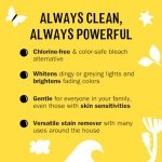 Molly's Suds Oxygen Whitener - Chlorine Free Stain Remover