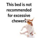 Reversible Paw Print Dog Bed in Blue/White