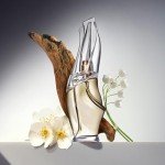 Donna Karan Cashmere Mist Mini Discovery Set