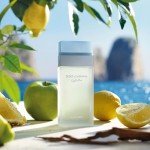 Dolce & Gabbana Light Blue Eau De Toilette 50ml