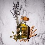 Curve Men's Cologne Spray - Spicy Wood Scent