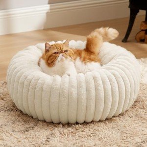 Cozy Donut Cat and Small Dog Bed - Cream