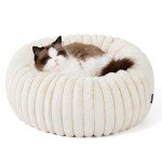 Cozy Donut Cat and Small Dog Bed - Cream