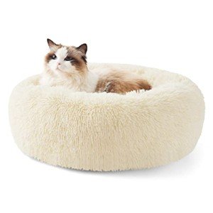 Cozy Round Cat Bed for Indoor Cats - Oat Milk