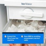 Essential Values Ice Machine Cleaner & Descaler 2-Pack
