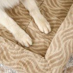 Deluxe Tan Bolster Bed for Tiny Dogs