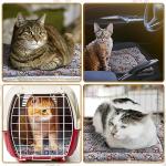 4 Pack Cozy Reversible Pet Bed Mats