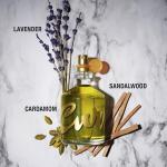 Curve Men's Cologne Spray - Spicy Wood Scent