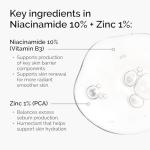 The Ordinary Niacinamide & Zinc Blemish Serum 1 Fl Oz