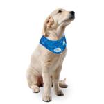 Cool Down Dog Bandana - Size M (38-46 cm)