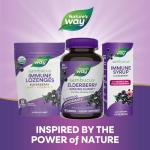 Elderberry Immune Support Gummies for All Ages