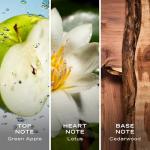 Nautica Voyage Men’s Cologne - Fresh and Fruity