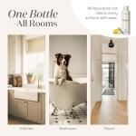 Young Living Thieves Household Cleaner, 14.4 oz