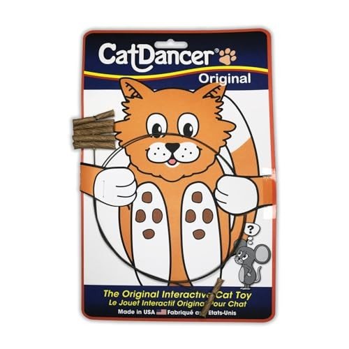 Cat Dancer