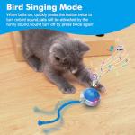 Interactive Moving Cat Ball Toy for Indoor Fun