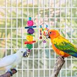8 Pack Bird Toys Set for Budgies and Parrots