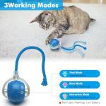 Interactive Moving Cat Ball Toy for Indoor Fun