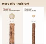 Redreo Cat Silvervine Chew Sticks for Teeth