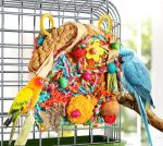 Fun Foraging Toys for Parakeets and Small Birds