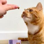 Scrumbles Calming Cat Treats