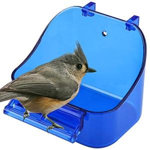 Bird Bath Tub for Cage Birds - Blue