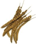 Millet Sprays 200g for Birds and Pets