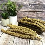 Millet Sprays 200g for Birds and Pets