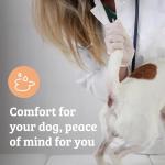 Dog Anal Gland Supplements - Daily Chew Treats