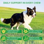 120 Dog Probiotics for Gut and Immunity Health