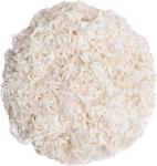 Premium Unbleached Bedding for Small Pets - 56L