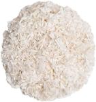 Premium Unbleached Bedding for Small Pets - 56L