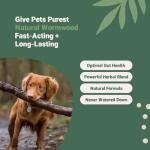 Natural Wormwood Formula for Pets’ Intestinal Health