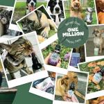 Natural Wormwood Formula for Pets’ Intestinal Health